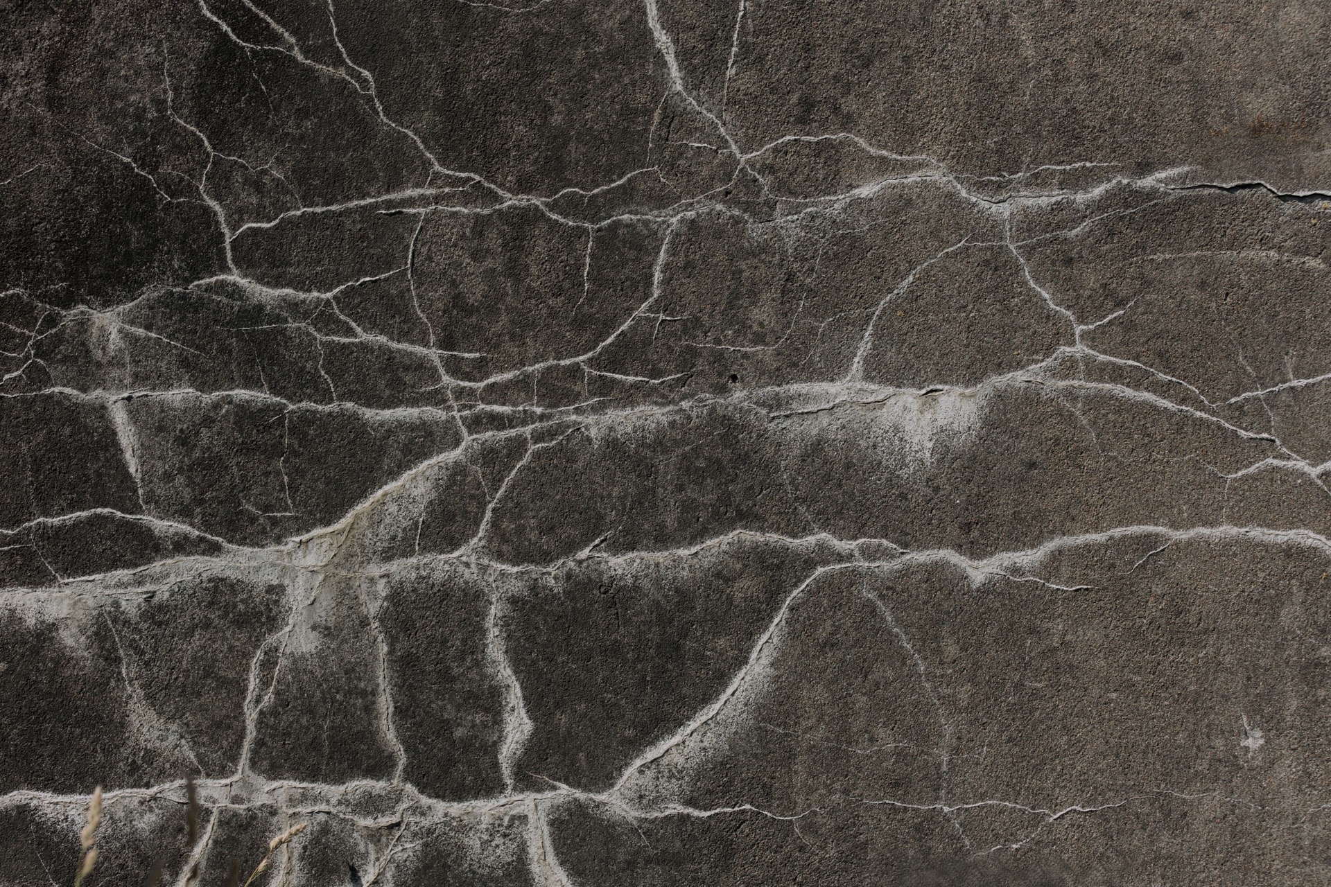 Branching cracks spreading across a poured concrete wall